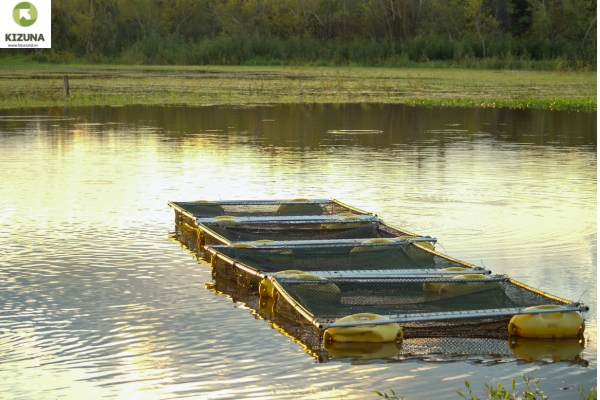 Mekong Delta, Viet Nam