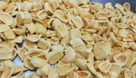 IQF JACKFRUIT