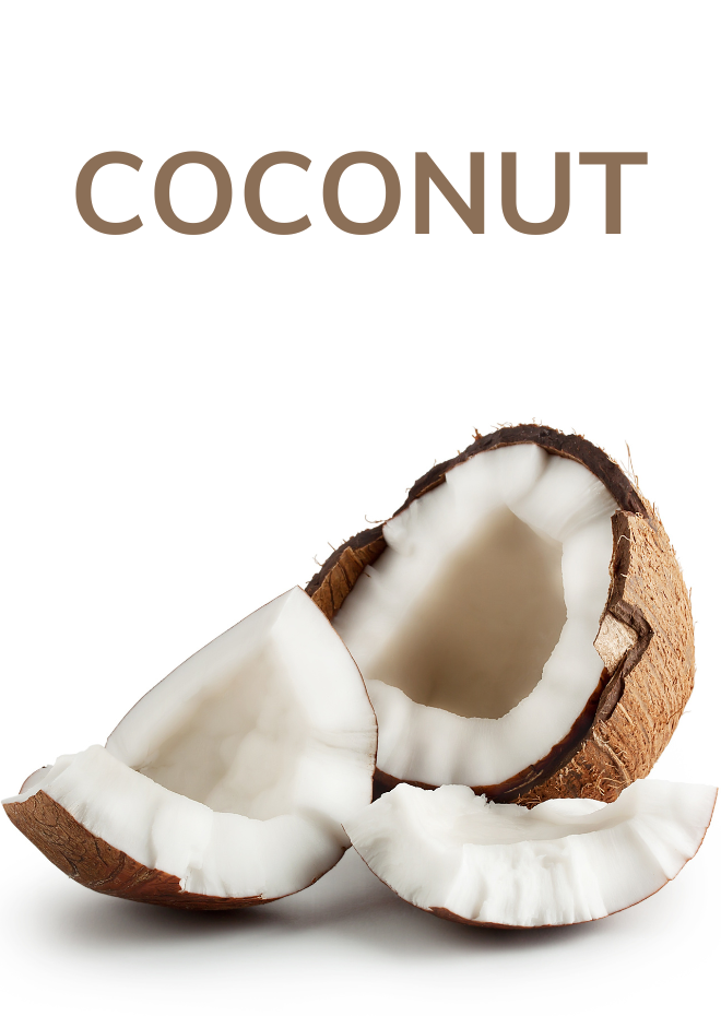 Coconut Products