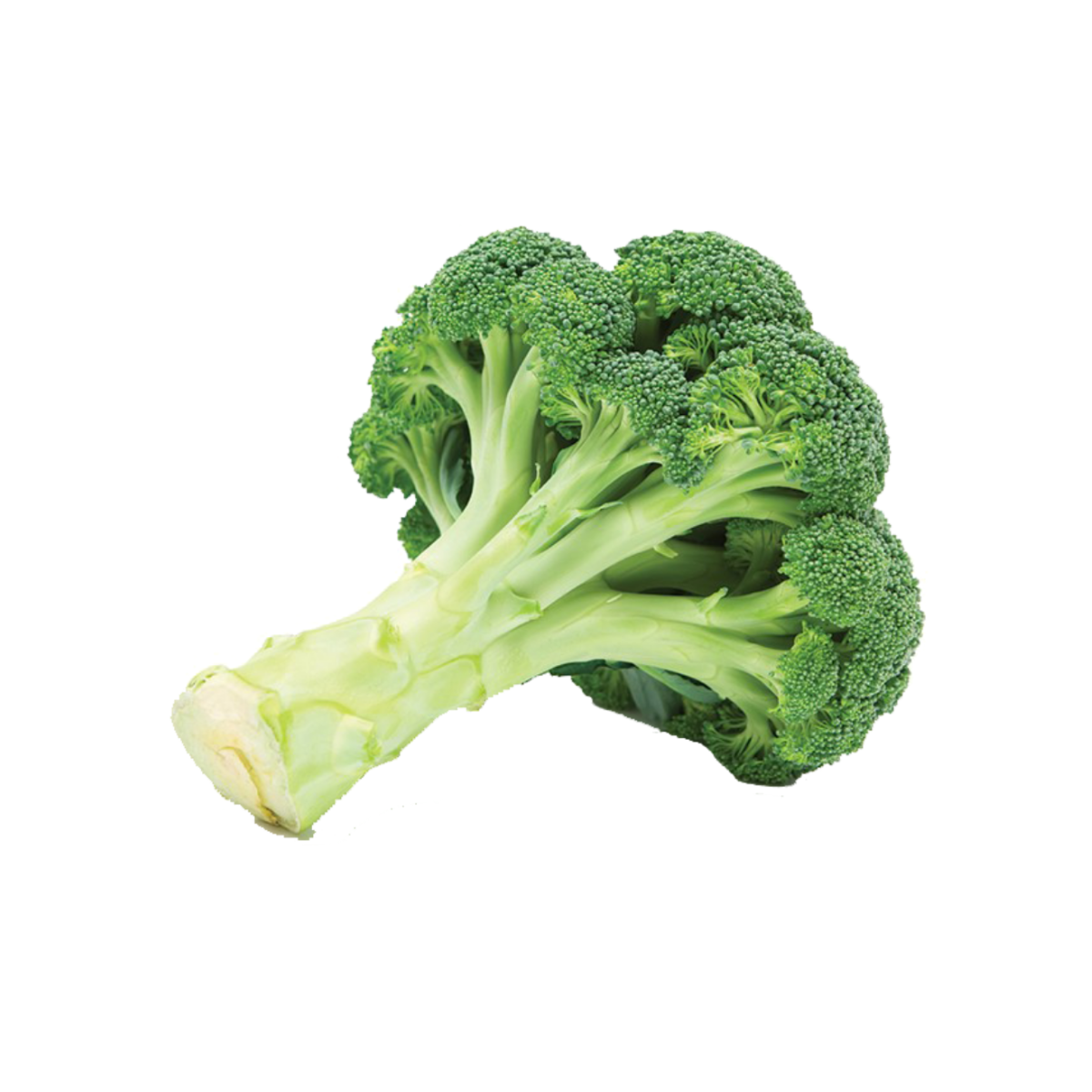 IQF Broccoli
